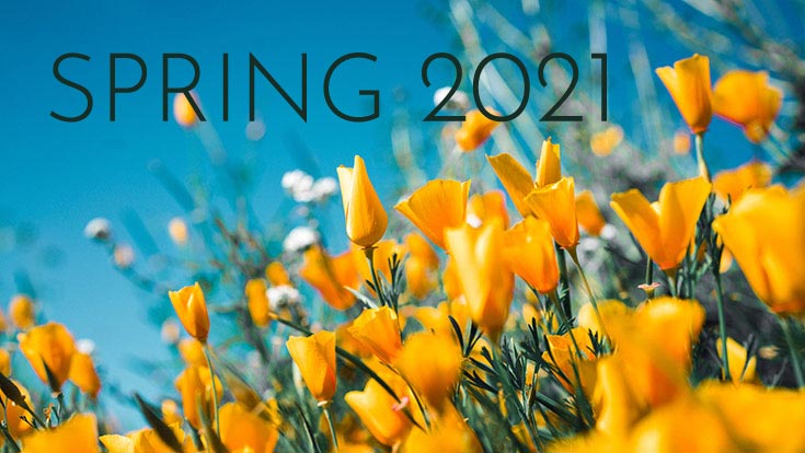 Ccny Academic Calendar Spring 2021 Academic Calendar and Deadlines | Los Rios Community College District